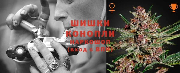 не бодяженный Бердск