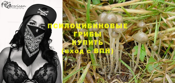 молекула духа Михайловка