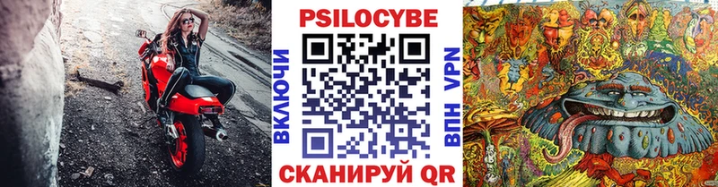 Галлюциногенные грибы Psilocybe  Саратов 