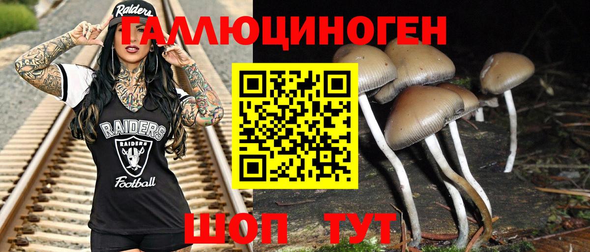 Псилоцибиновые грибы GOLDEN TEACHER Саратов