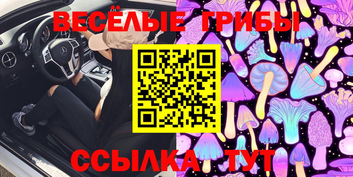 Псилоцибиновые грибы MAGIC MUSHROOMS  Псилоцибиновые грибы Psilocybe  Вход с VPN  Саратов 